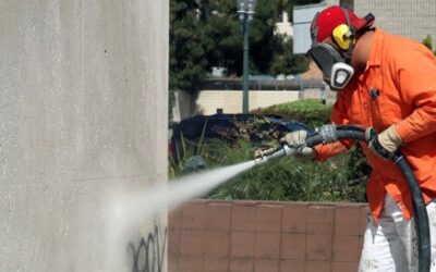 Eliminación de Cucarachas en Barcelona