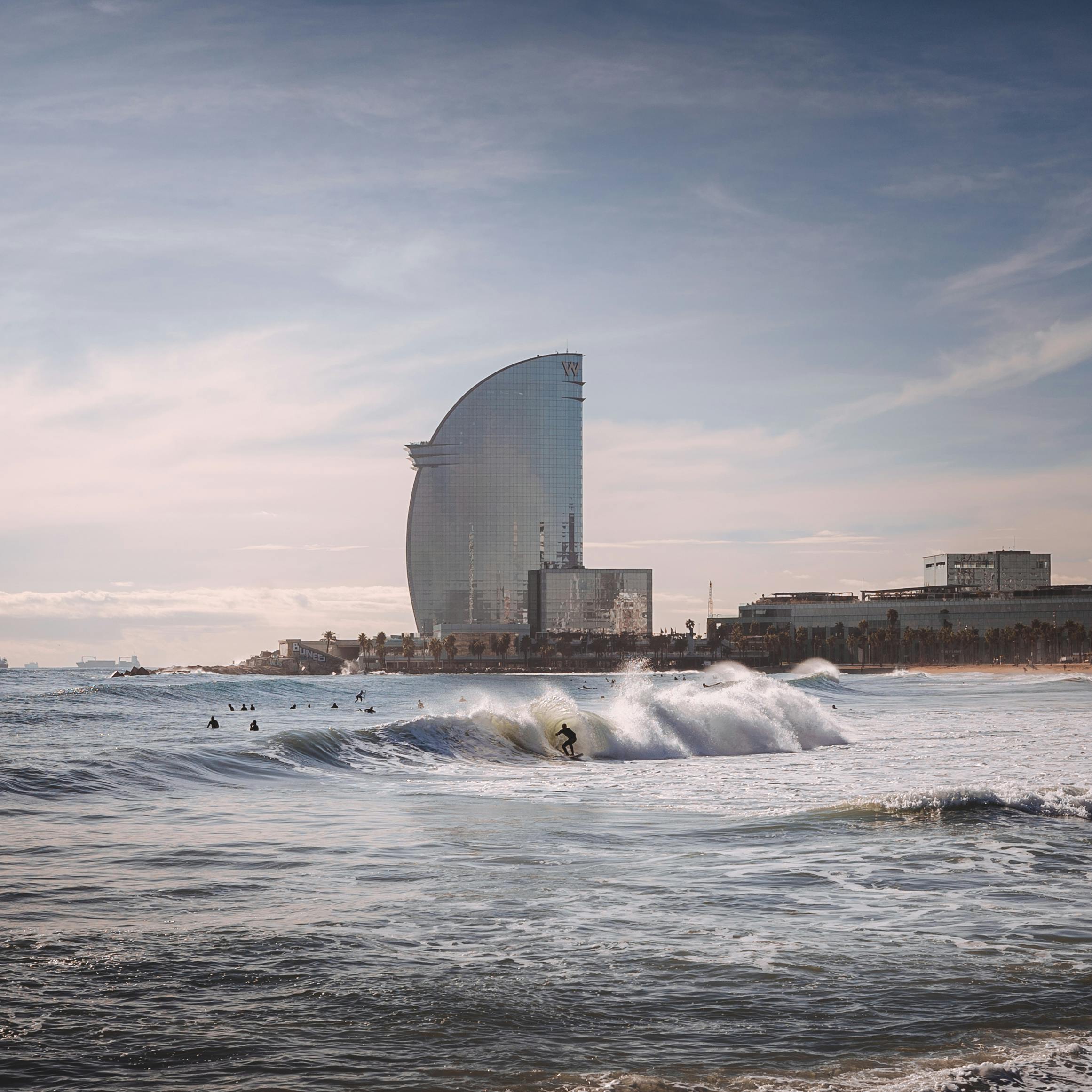 la aparición de plagas de verano en Barcelona